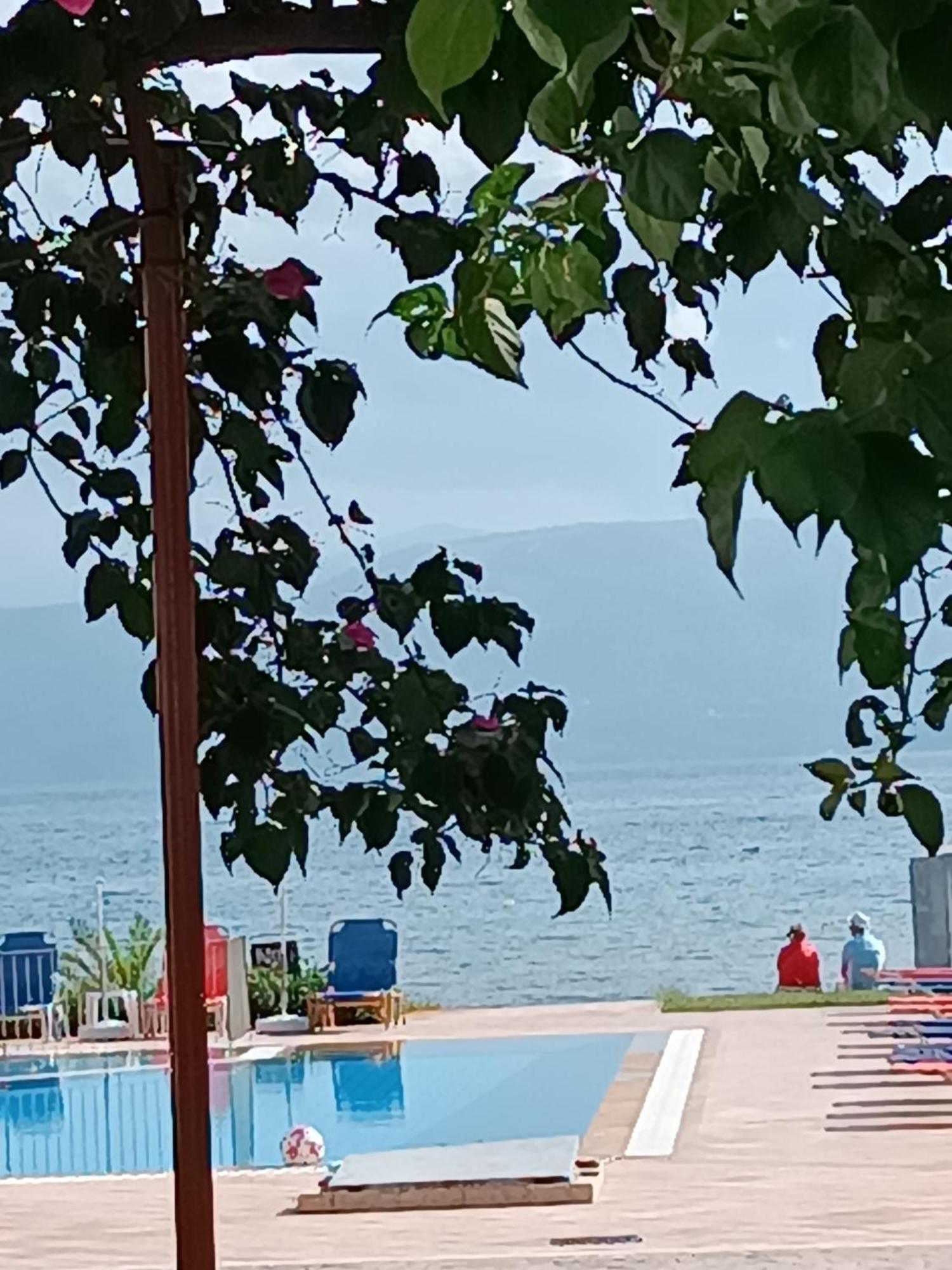 Kávos Sofia Beach Apartments المظهر الخارجي الصورة